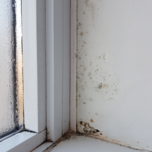 damp near window with condensation