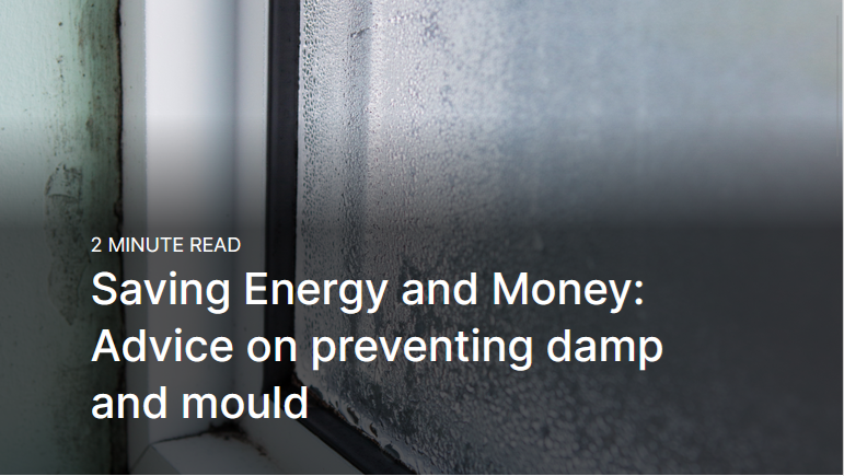 Image depicting damp and mould