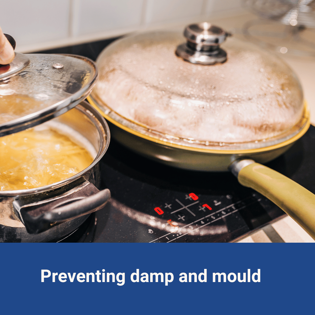 Preventing damp and mould: bitesize advice