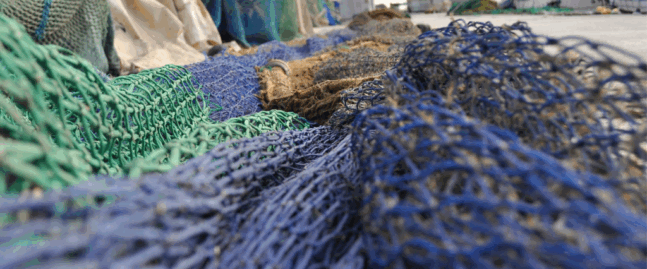 Energy audit for seafood processing company