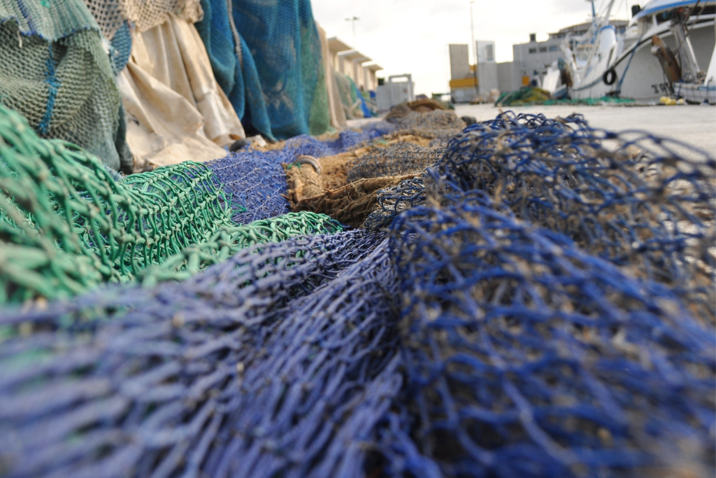 Energy audit for seafood processing company